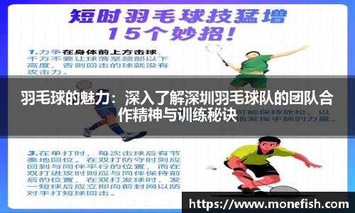 羽毛球的魅力：深入了解深圳羽毛球队的团队合作精神与训练秘诀